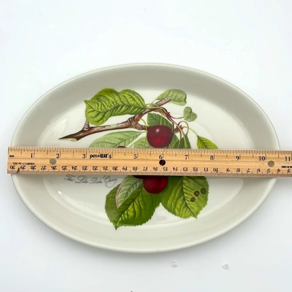 Vintage Pomona by Portmeirion 10 3/4 Inch Ceramic Oval Steak Platter